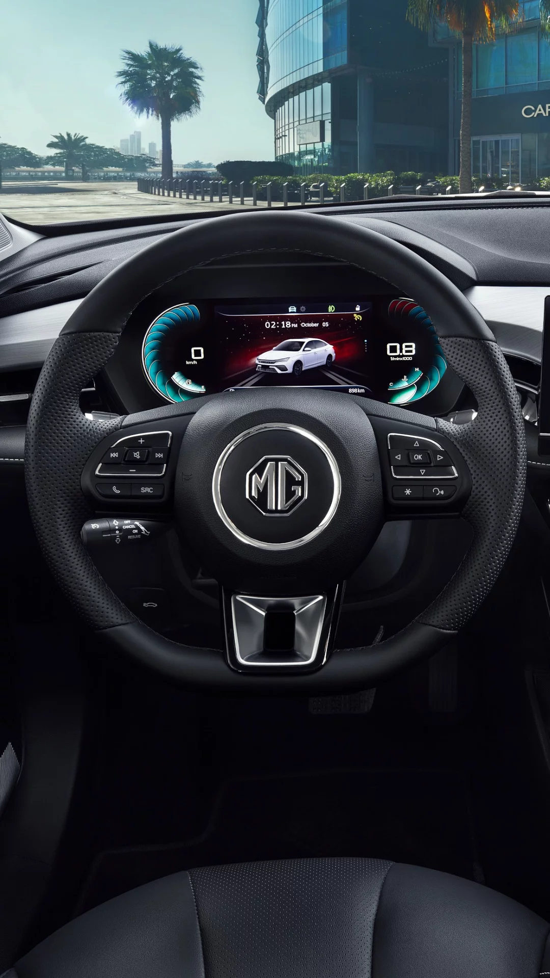 STEERING Multifunction