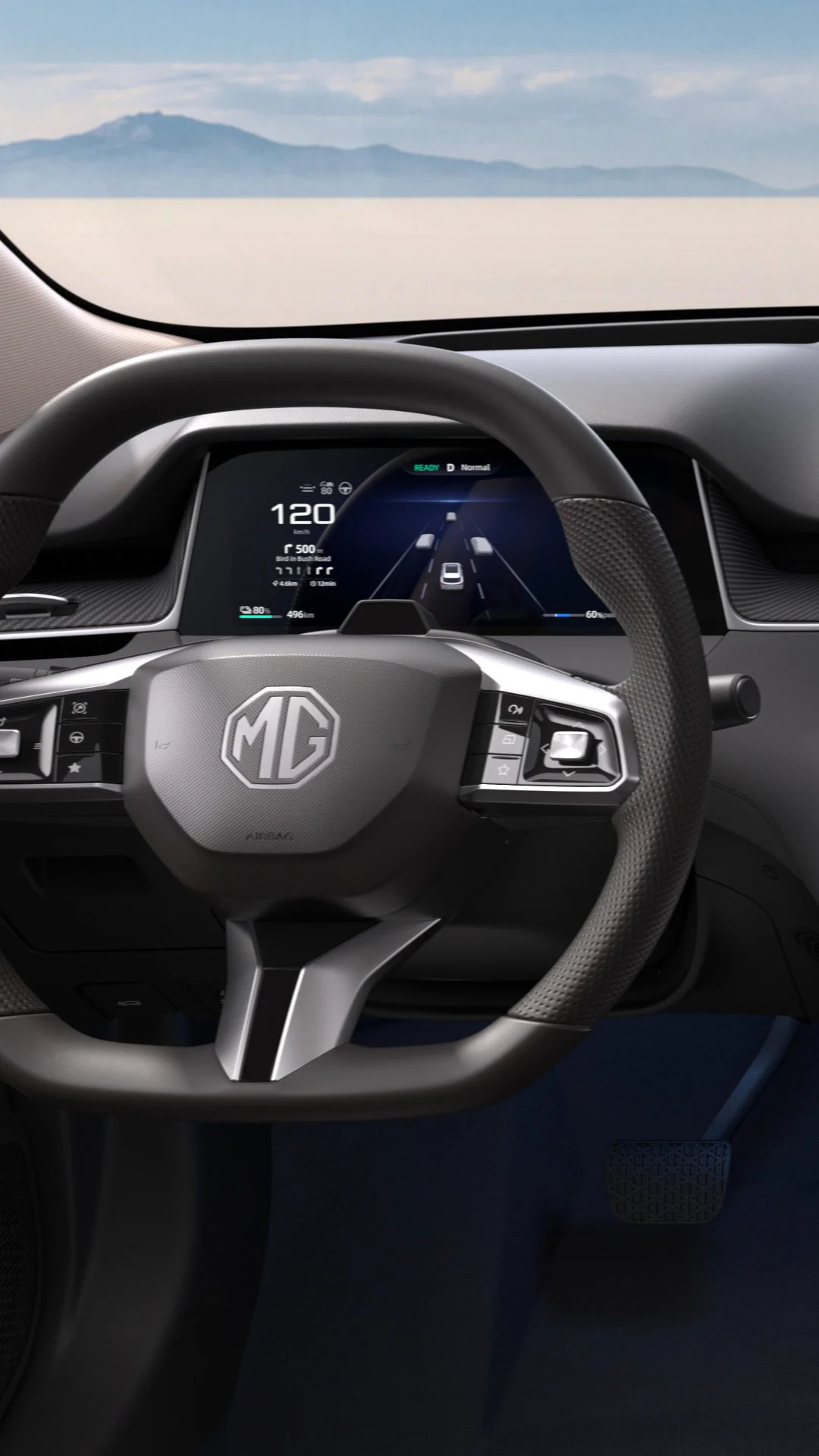 DRIVER DISPLAY