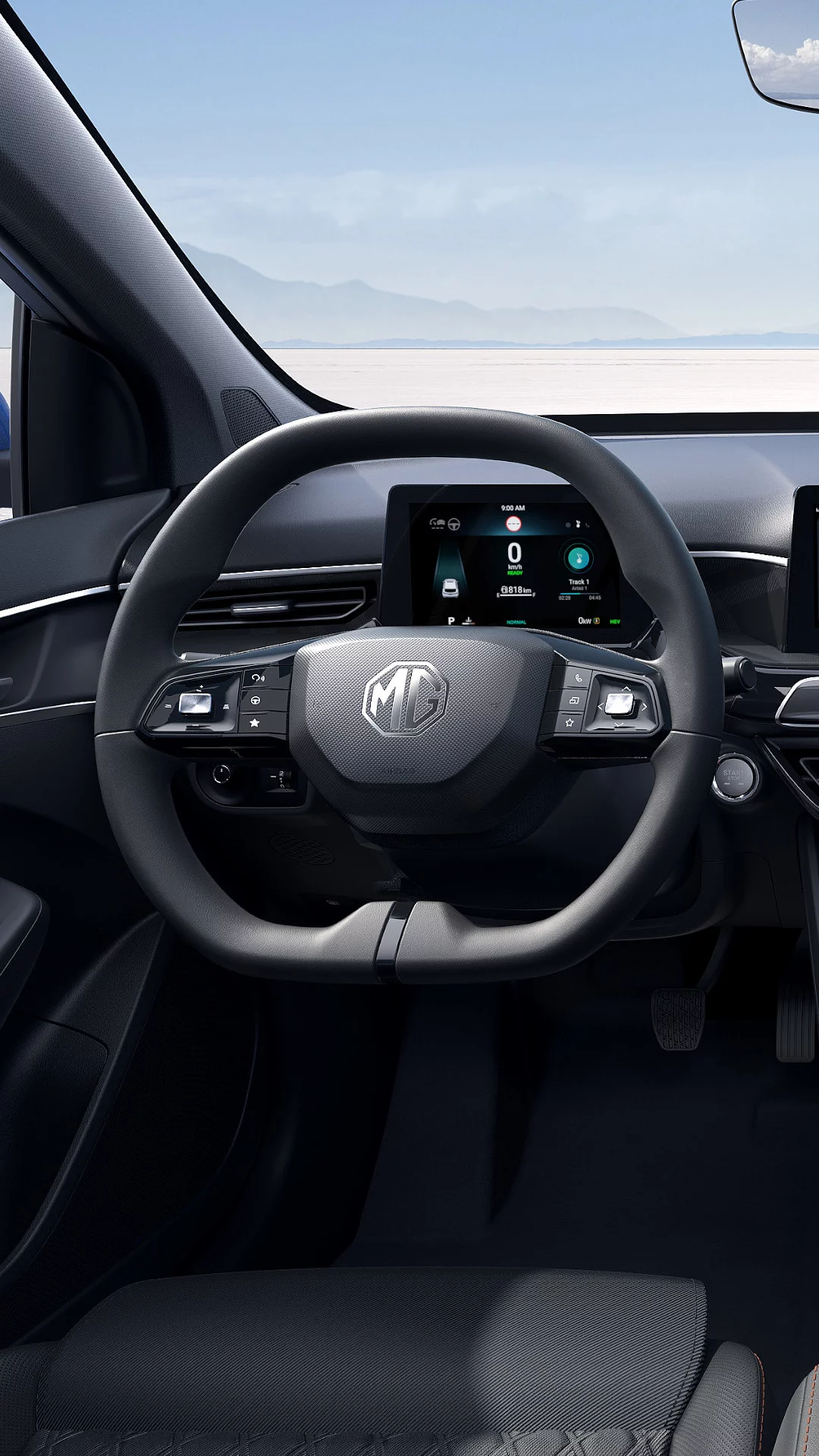 STEERING Multifunction