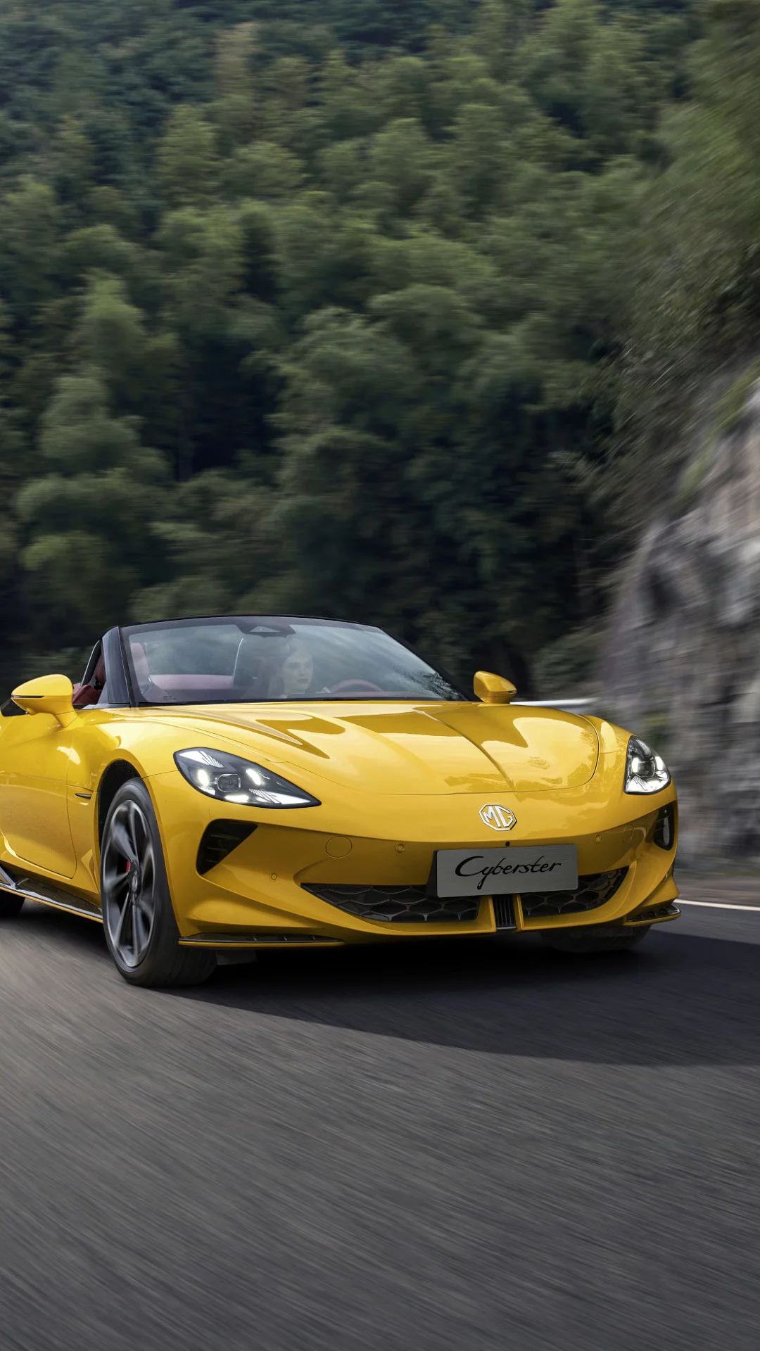 POWERTRAIN Dual-motor EV